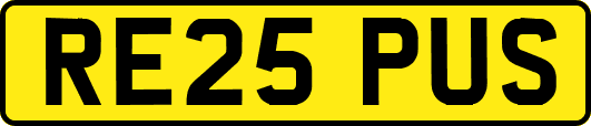 RE25PUS