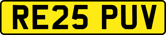 RE25PUV