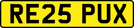 RE25PUX