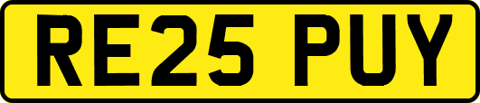 RE25PUY
