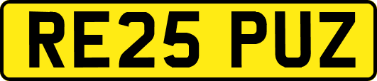 RE25PUZ