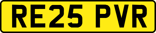 RE25PVR