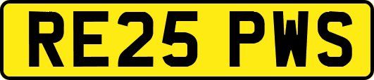 RE25PWS
