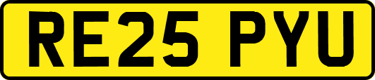 RE25PYU