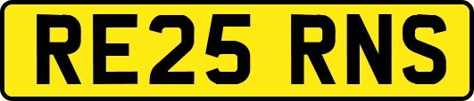 RE25RNS