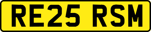 RE25RSM