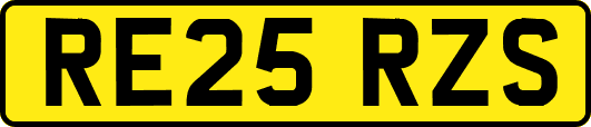 RE25RZS