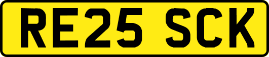 RE25SCK