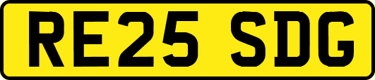 RE25SDG