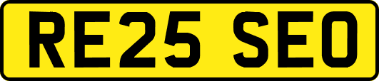 RE25SEO