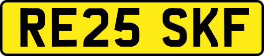 RE25SKF