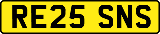 RE25SNS