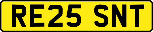 RE25SNT