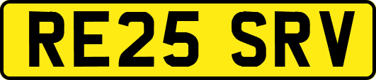 RE25SRV