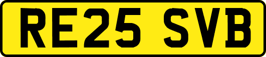 RE25SVB