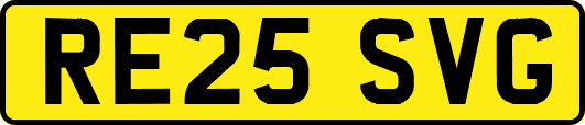 RE25SVG