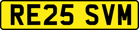 RE25SVM