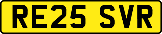RE25SVR