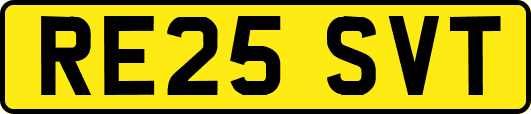 RE25SVT