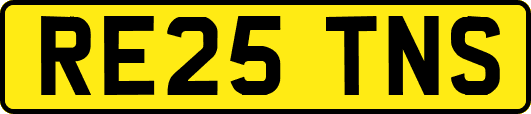 RE25TNS