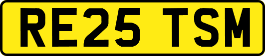 RE25TSM