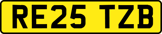 RE25TZB