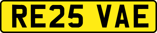 RE25VAE