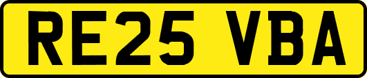 RE25VBA