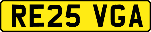 RE25VGA