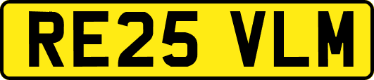 RE25VLM