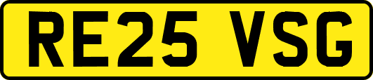 RE25VSG