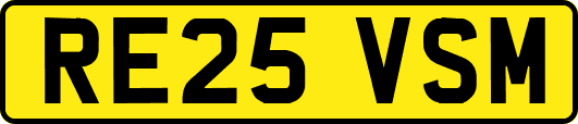 RE25VSM