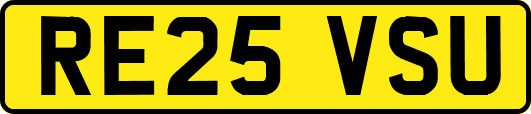 RE25VSU