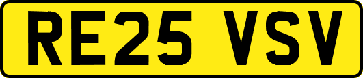 RE25VSV