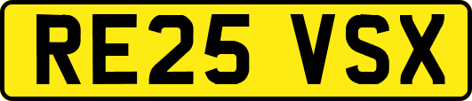 RE25VSX
