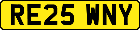 RE25WNY