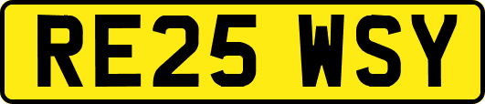 RE25WSY