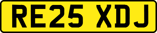 RE25XDJ