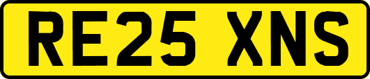 RE25XNS