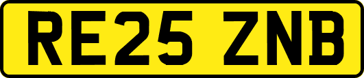 RE25ZNB