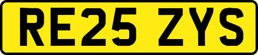 RE25ZYS