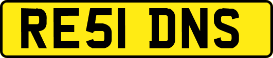 RE51DNS