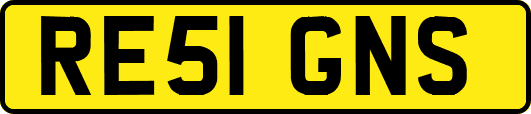 RE51GNS