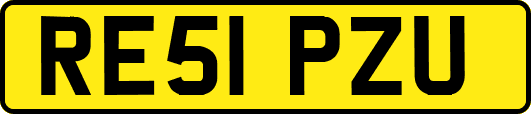 RE51PZU