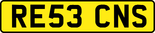 RE53CNS