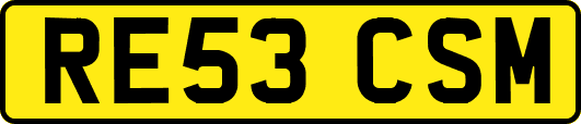 RE53CSM