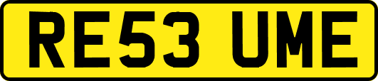 RE53UME