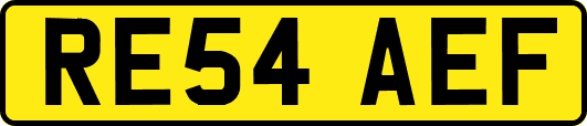 RE54AEF