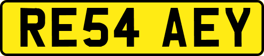 RE54AEY
