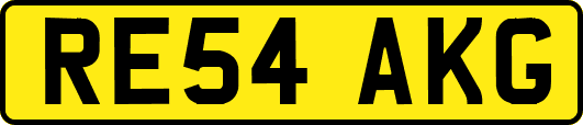 RE54AKG